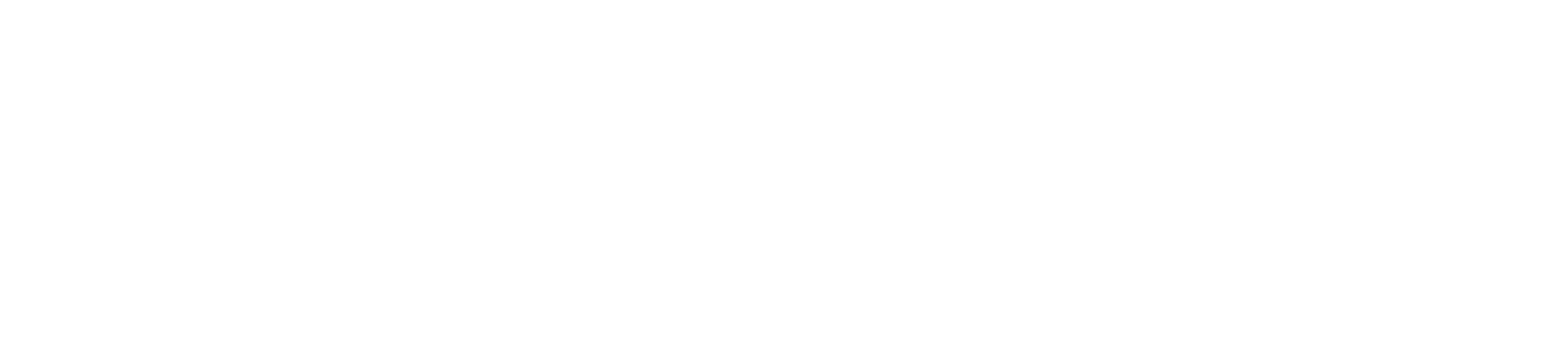 Virginia Veterans Network